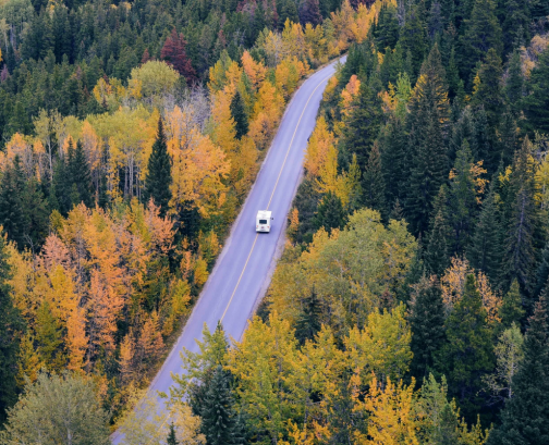 road trip with kids through forest scenic family travel adventure